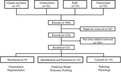 Functions and Mechanisms of Lysine Glutarylation in Eukaryotes